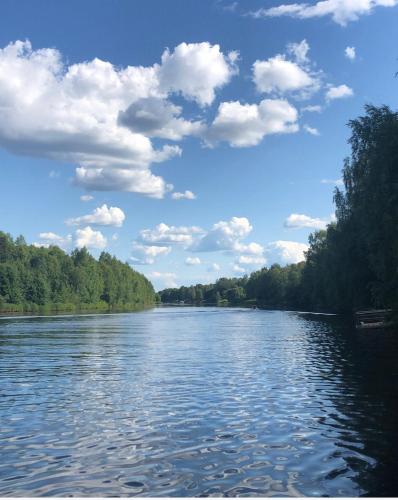 Arctic Resort Delight - image 4