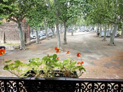 Atout Pézenas photo 19