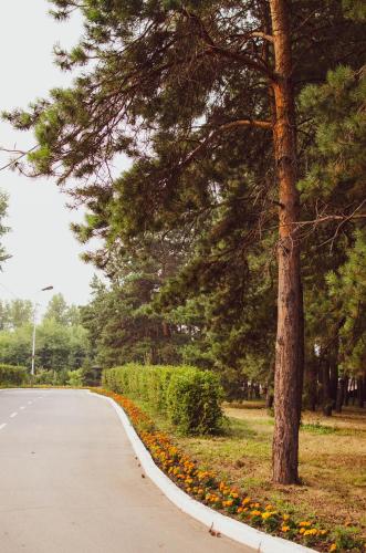 Irtysh Hotel - main image