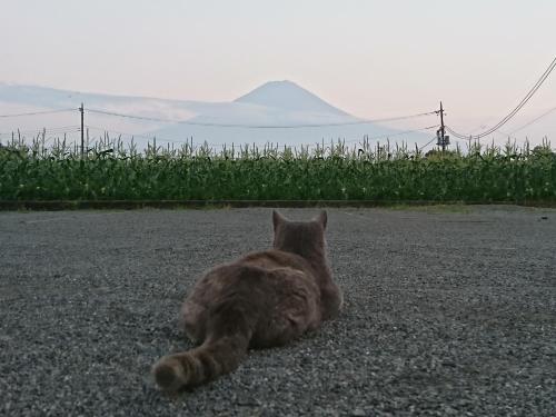 Lake Villa Kawaguchiko