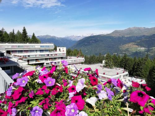  Sole Alto Appartamenti Montana in Mezzana