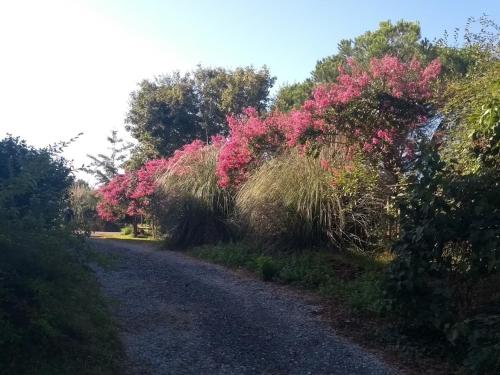 Domaine Oustau Cassou Chez Yanou et Yanetto