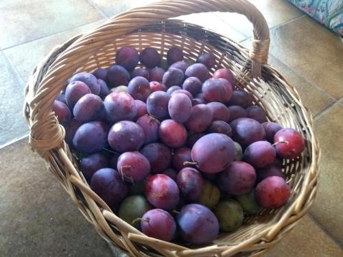 Domaine Oustau Cassou Chez Yanou et Yanetto