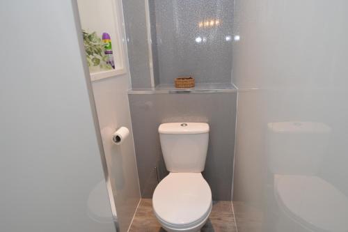 Sebright Holiday Apartment - image 9