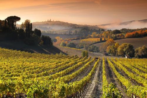 Mormoraia, San Gimignano