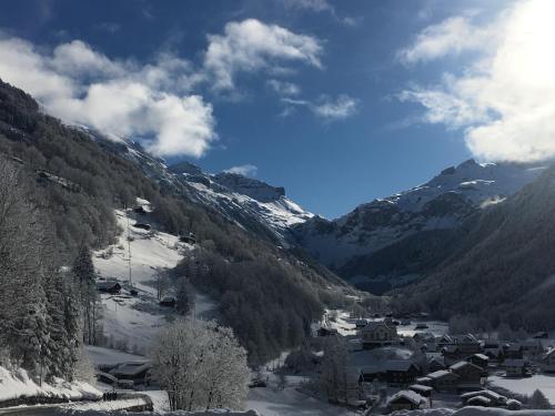 Hotel Alpina in Unterschachen