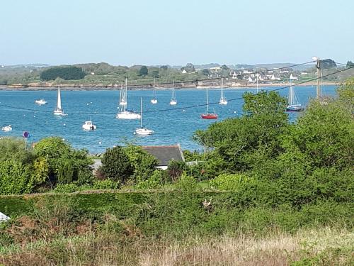 Charmante maison vue mer - Location saisonnière - Plougastel-Daoulas