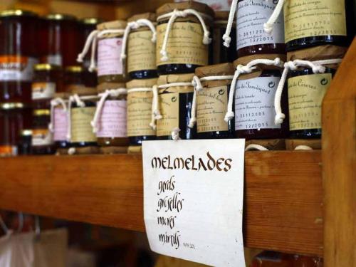 Apartaments Vall Ferrera - image 14