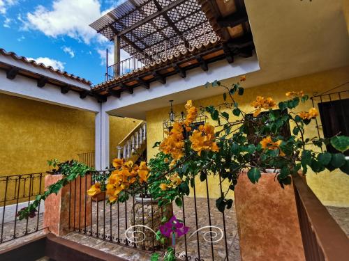 Maison Bougainvillea - image 5