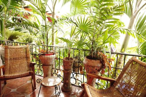 21659759 Hotel Boutique Casona Maya Mexicana