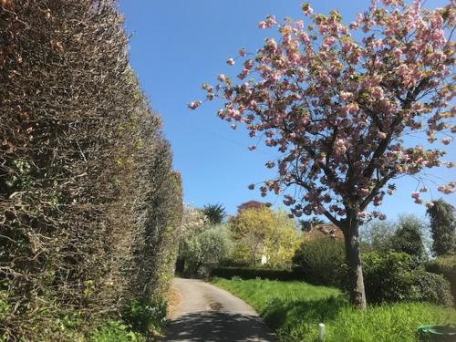 Glastonbury, Gaura Nitai House, , Somerset