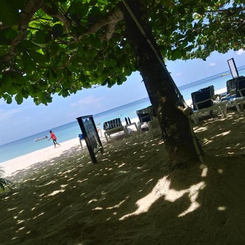 A Hotelcom Firefly Beach Cottages Hotel Negril Jamaica - 