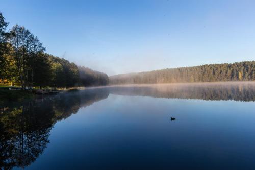 Žuvėdra - main image