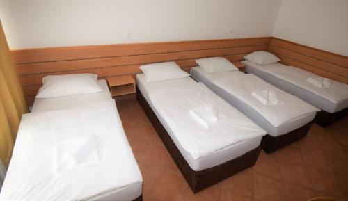 Ljubljana Resort Hotel & Camping, Lublaň (fotografie 7)