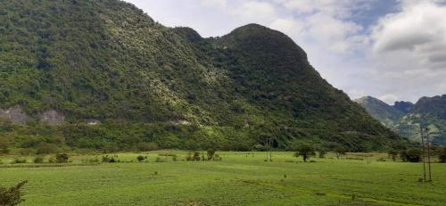 Phong Nha Bolero Bungalow