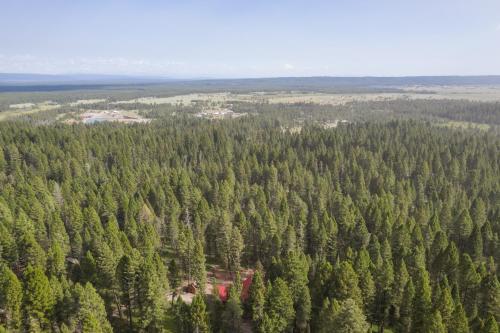 Lodgepole Lookout by KABINO - image 7