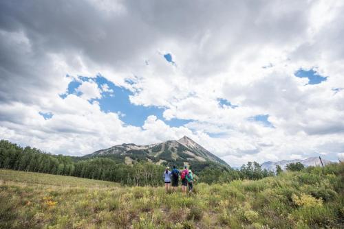View Of Mt Crested Butte And Lifts 2 Br Condo Condo - image 8
