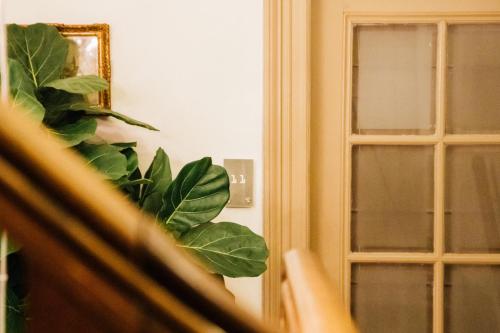 Hotels Image