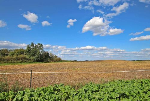 Ferienhaeuser auf dem Land Hoffelde SEE 8070