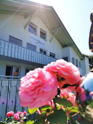 Pension Mozart - main image
