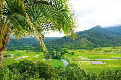 Waipouli Beach Resort VIP Ocean Front Penthouse Villa! AC Pool