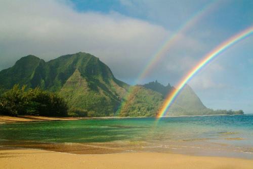 Waipouli Beach Resort Beautiful Luxury Ground Level Garden View AC Pool!