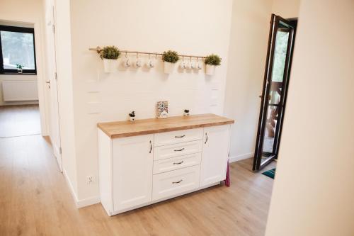 Gościniec Kaszubski Las, Ruda 3 (Gosciniec Kaszubski Las, Ruda 3) in Brodnica Gorna