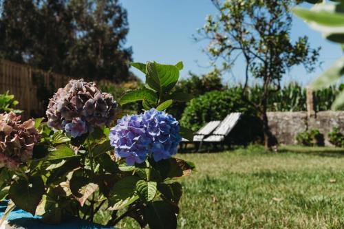  A CASA DA ESTRELA in 4485-086 Fajozes