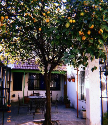 Hostel Otro Mundo in Godoy Cruz