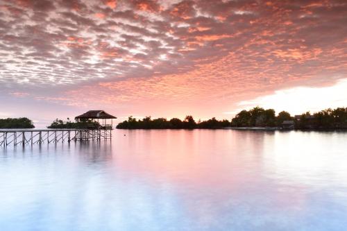 Araya Dive Resort / Bomba Divers