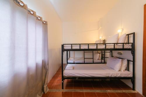 Five Rose Siem Reap Hostel