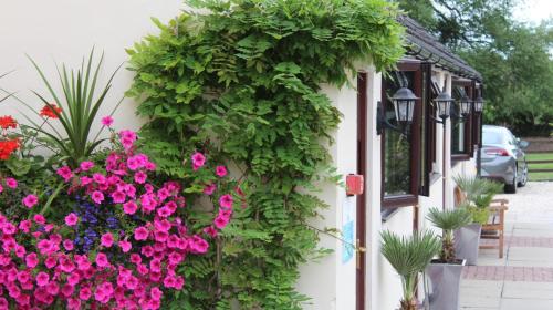 Hope Orchard Bed & Breakfast - main image