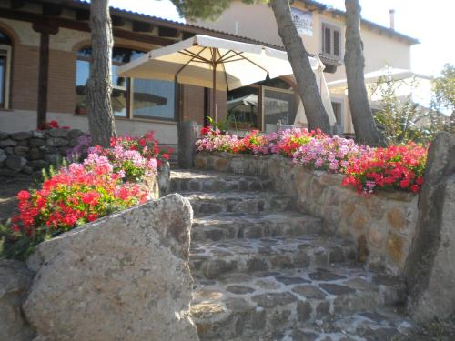 Agriturismo Su Recreu - Villanova Monteleone