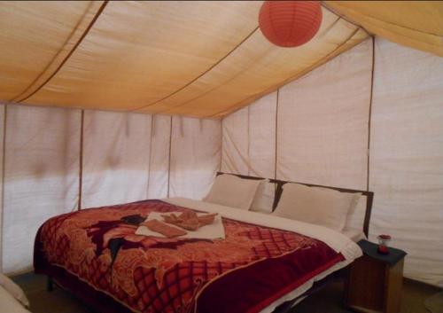 TIH Nubra Escapes Camp