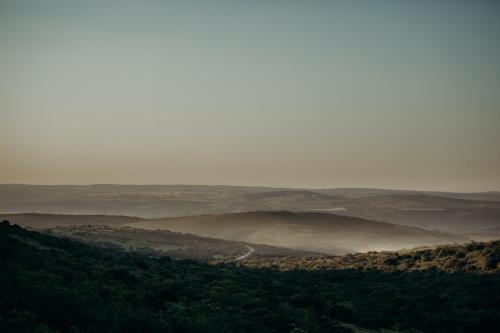 Bukela Game Lodge - Amakhala Game Reserve