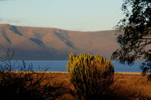 White Elephant Safaris White Elephant Safaris