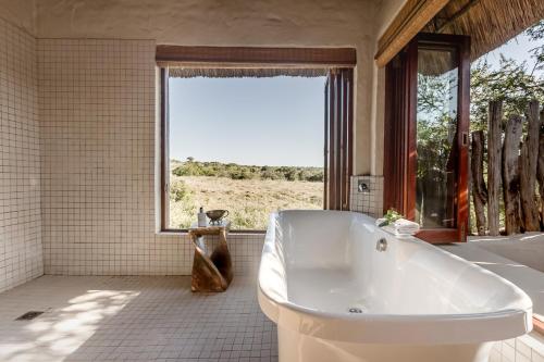 Hlosi Game Lodge - Amakhala Game Reserve