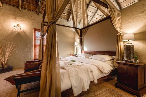 Hlosi Game Lodge - Amakhala Game Reserve