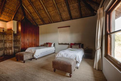 Hlosi Game Lodge - Amakhala Game Reserve