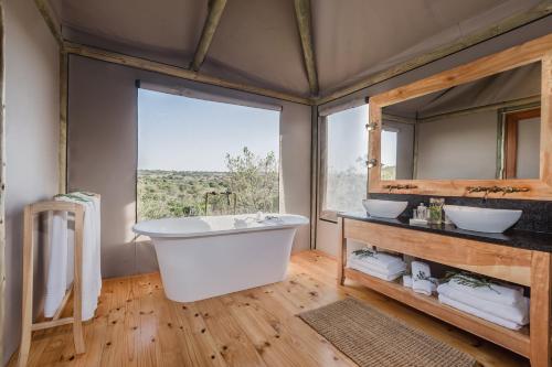 Hlosi Game Lodge - Amakhala Game Reserve