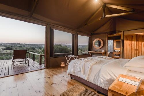 Hlosi Game Lodge - Amakhala Game Reserve