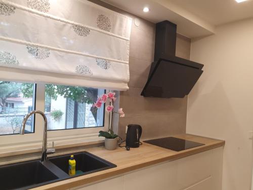 Apartment - Ground Floor image 10