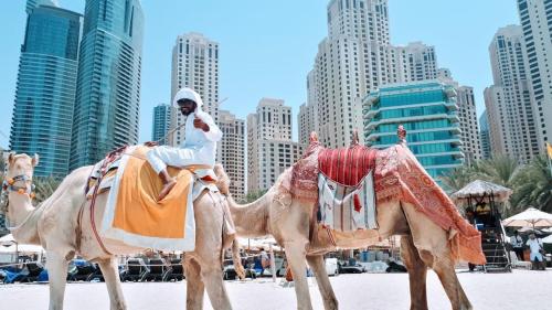 JCB Dubai Marina Apartment - main image