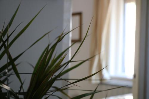  Sunshine Apartman in Szeged