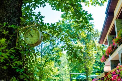 Hotel Restaurant Dreri - image 14