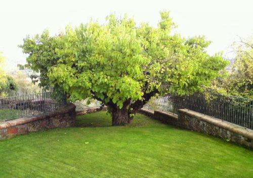 Dārzs, El Patio de la Morera II in El Rasillo de Cameros