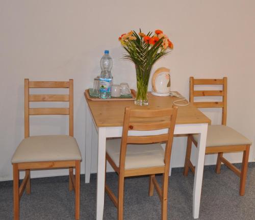 Hostel Decin Na Skrivance