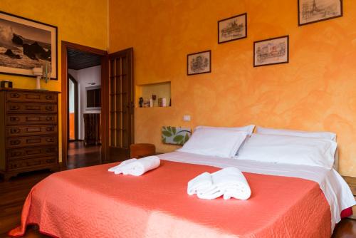 Casa↨di Amore e Psiche, Verona (fotografie 7)