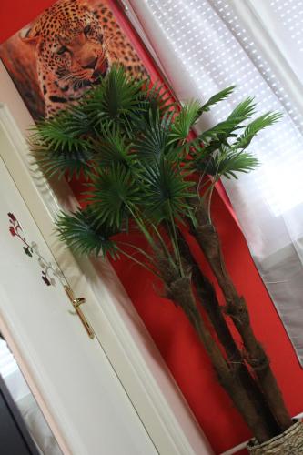 FLAMINGOS Apartman & Fitness OSIJEK - image 2