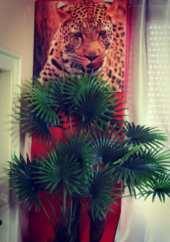 FLAMINGOS Apartman & Fitness OSIJEK - image 12